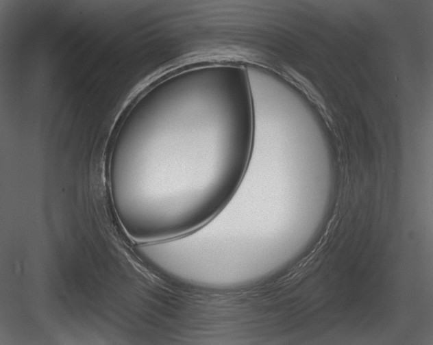 X0000084601226200702231027