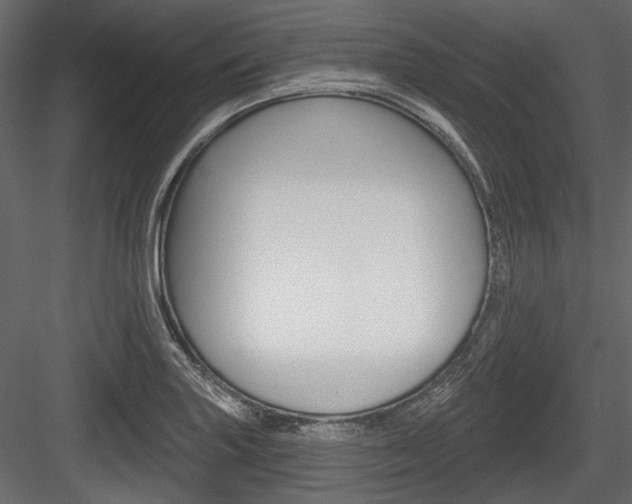 X0000084601227200702231027