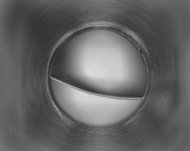 X0000084601229200702231027