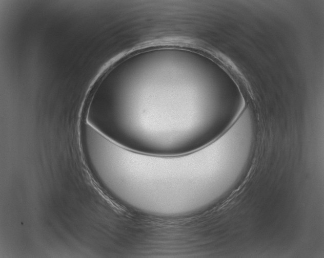 X0000084601230200702231027