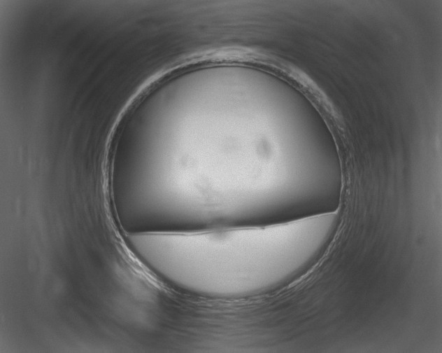 X0000084601232200702231027