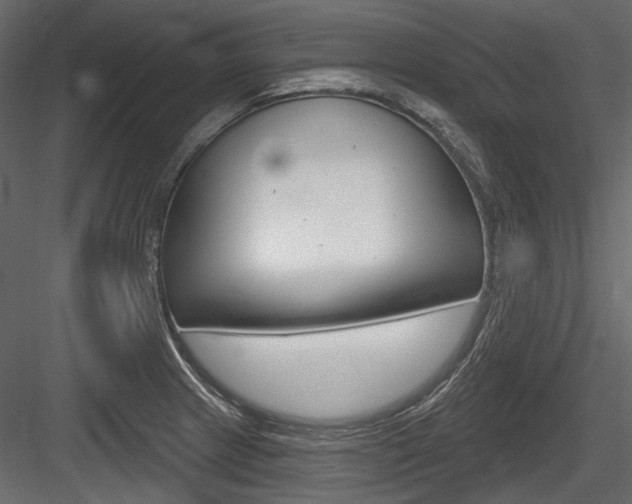 X0000084601233200702231027