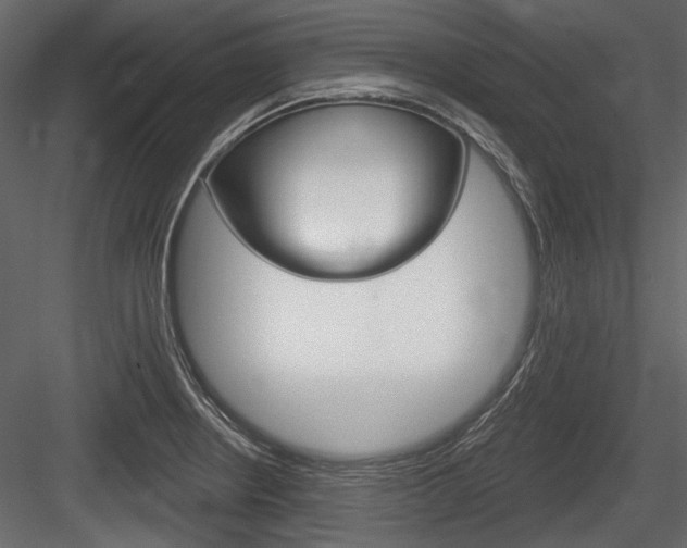X0000084601234200702231027