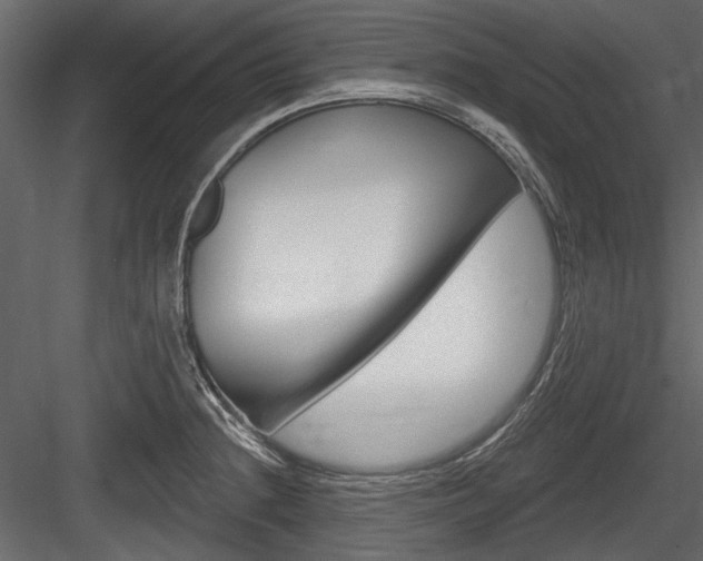X0000084601236200702231027