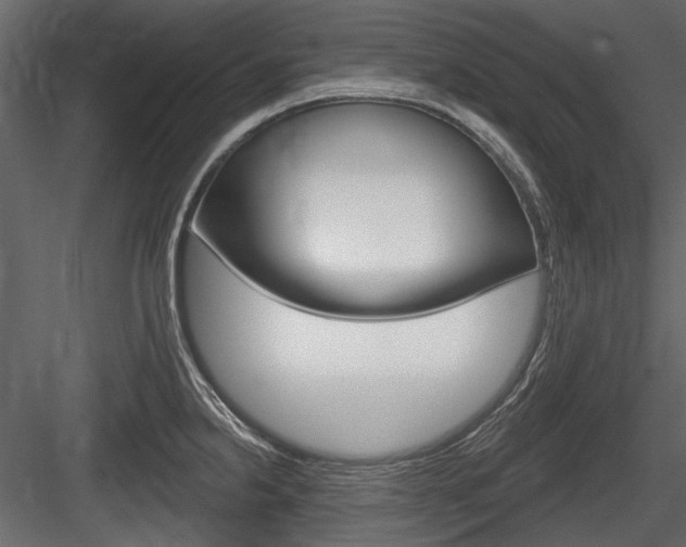 X0000084601238200702231027