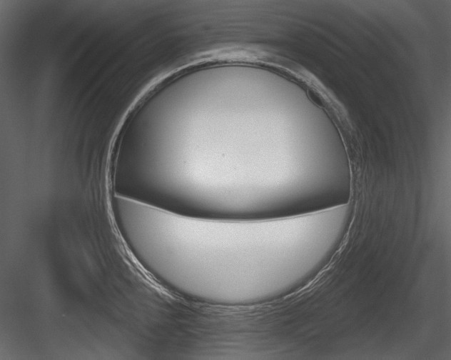 X0000084601240200702231027