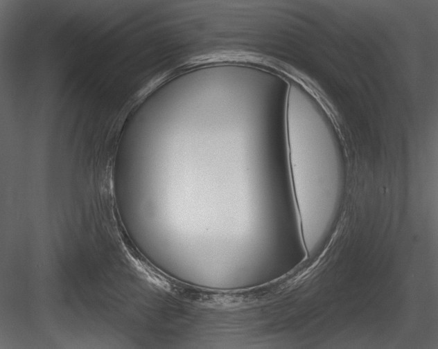 X0000084601241200702231027