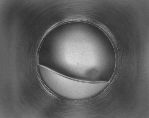 X0000084601242200702231027