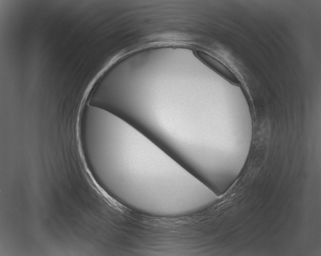 X0000084601243200702231028