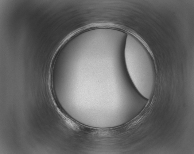 X0000084601245200702231028
