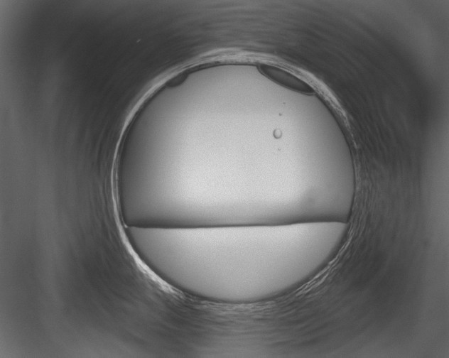 X0000084601247200702231028