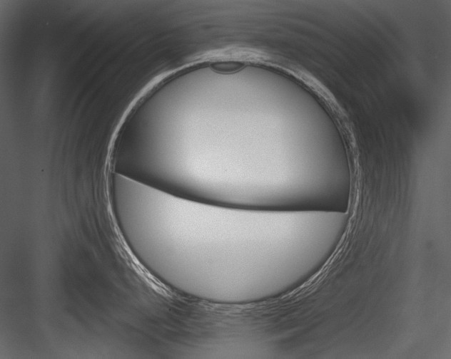 X0000084601248200702231028