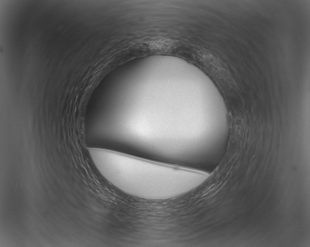 X0000084601249200702231027