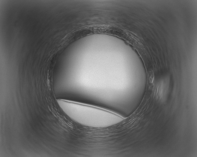 X0000084601252200702231027