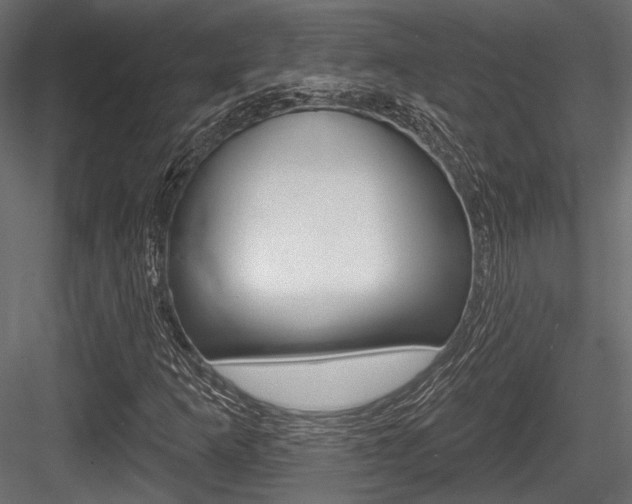 X0000084601253200702231027