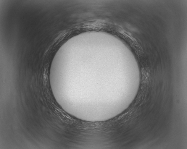 X0000084601254200702231027