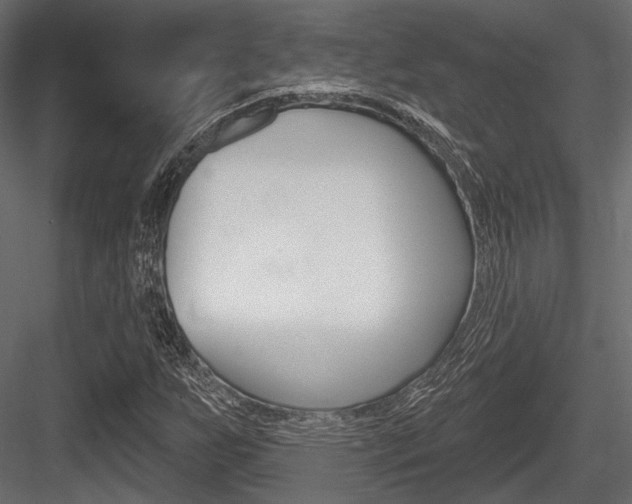 X0000084601255200702231027