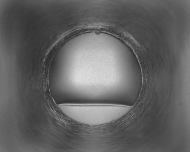 X0000084601256200702231027