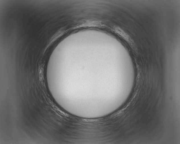 X0000084601258200702231027