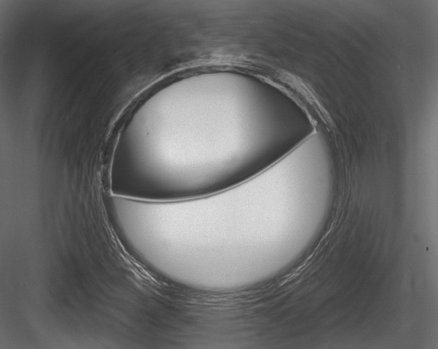 X0000084601260200702231027