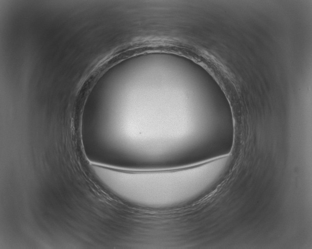 X0000084601261200702231027