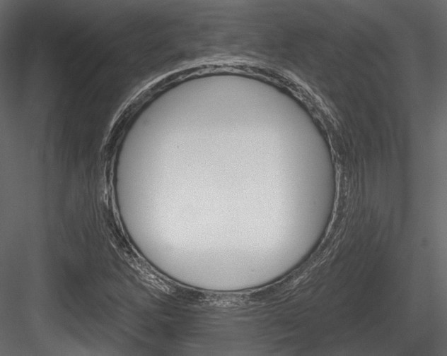 X0000084601262200702231027