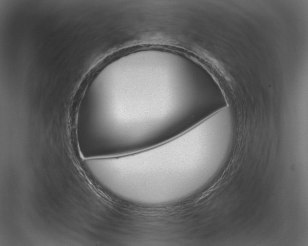 X0000084601264200702231027