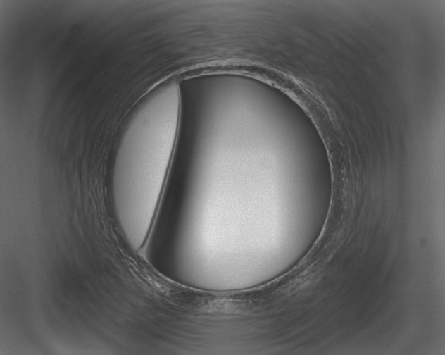 X0000084601265200702231026