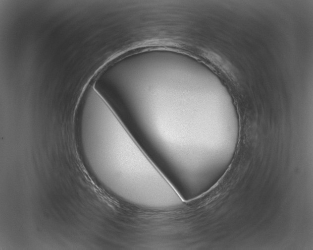 X0000084601268200702231026