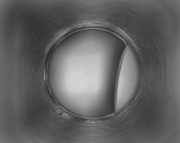 X0000084601269200702231026