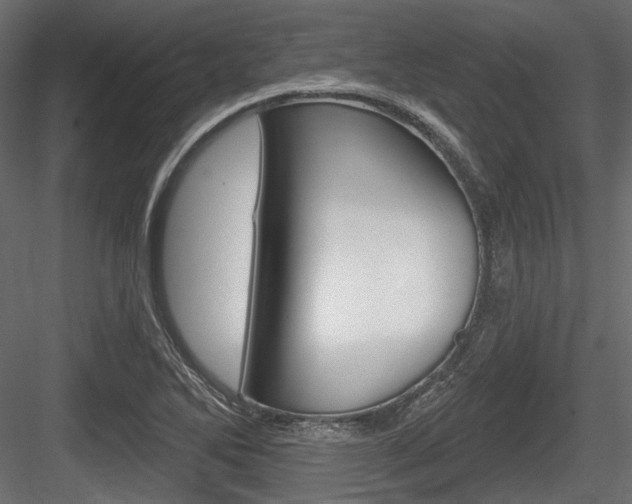 X0000084601270200702231026