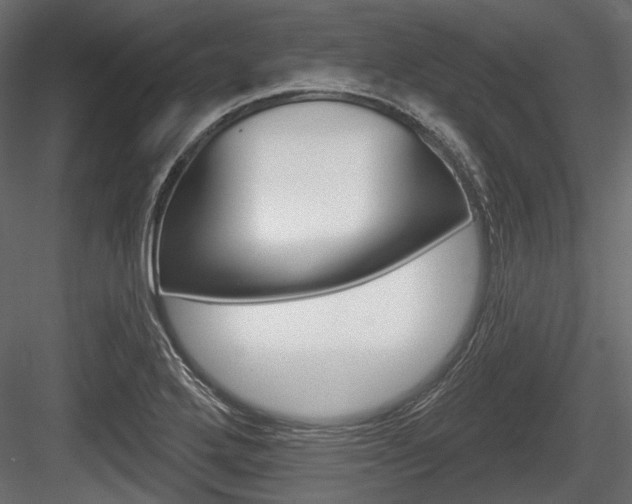 X0000084601272200702231026