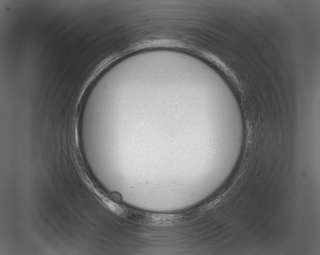 X0000084601274200702231026