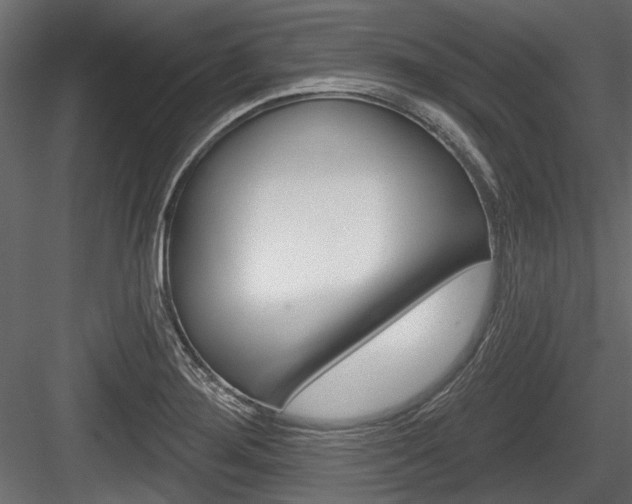X0000084601276200702231026