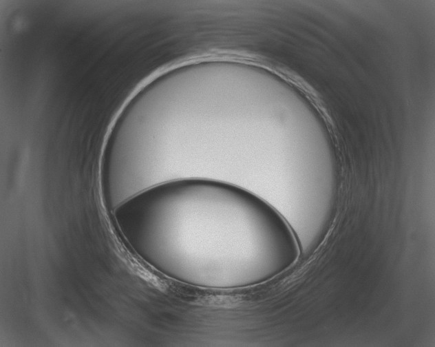 X0000084601280200702231026