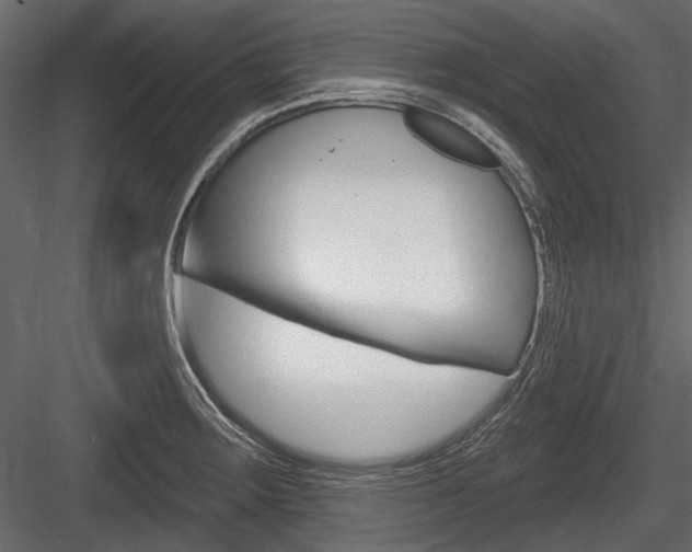 X0000084601283200702231026