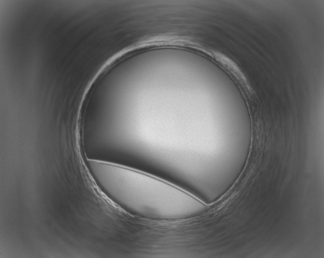 X0000084601288200702231026