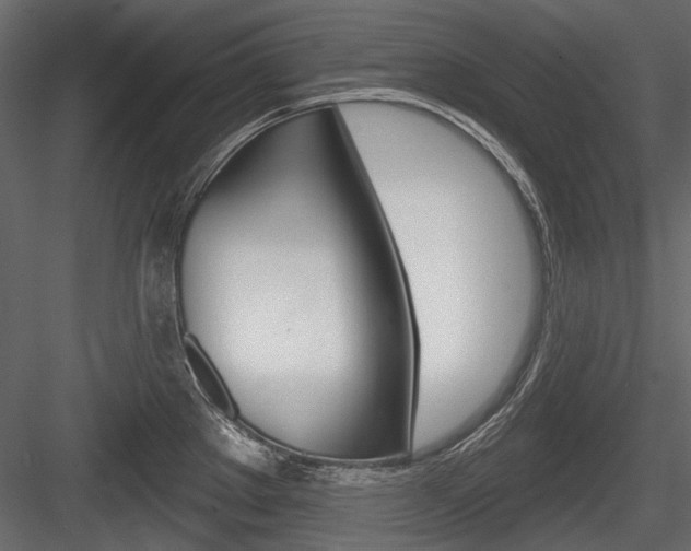 X0000084601289200702231026