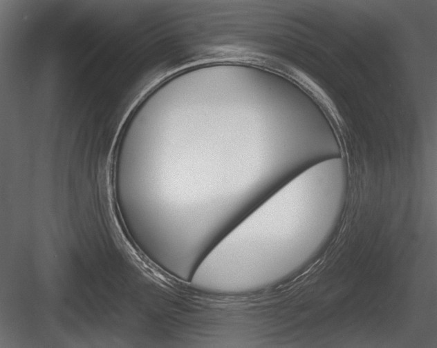 X0000084601291200702231026