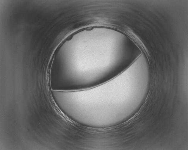 X0000084601292200702231026