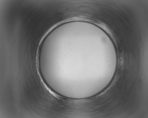 X0000084601294200702231026