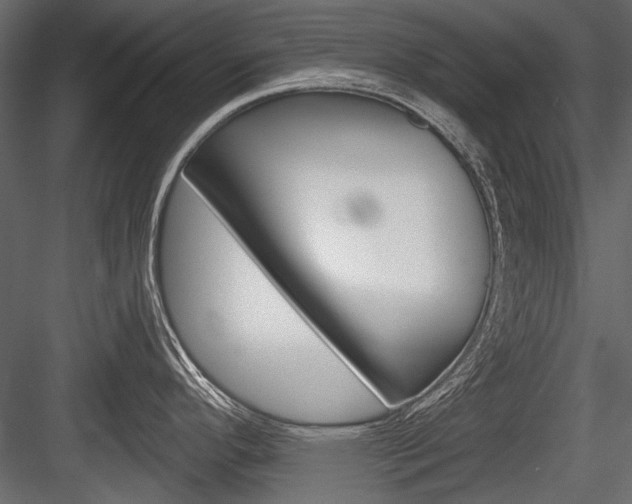 X0000084601296200702231026
