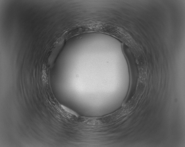 X0000084601298200702231025