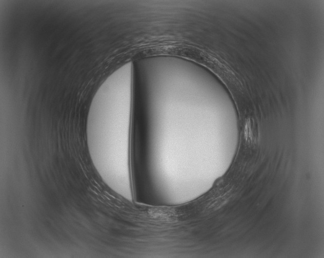 X0000084601299200702231025