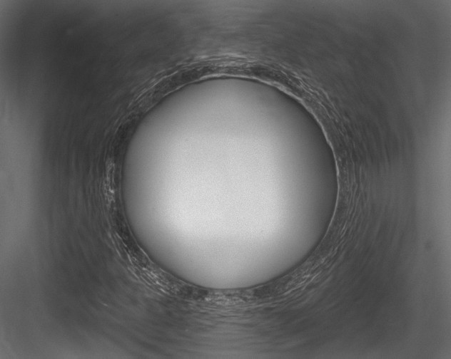 X0000084601301200702231025