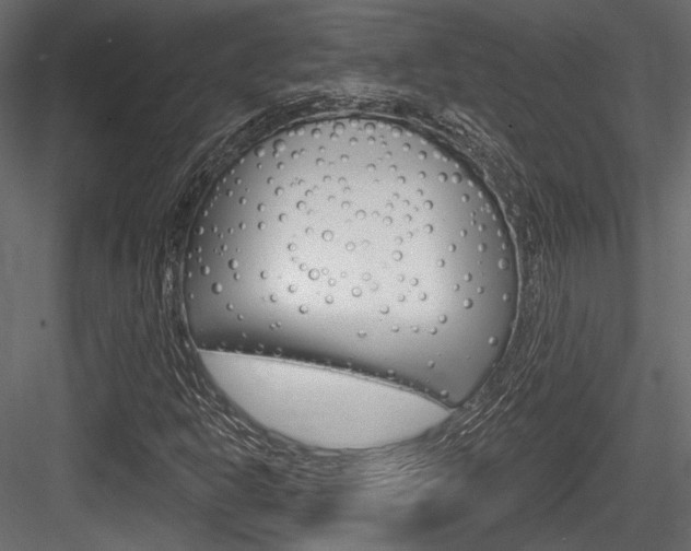 X0000084601302200702231025