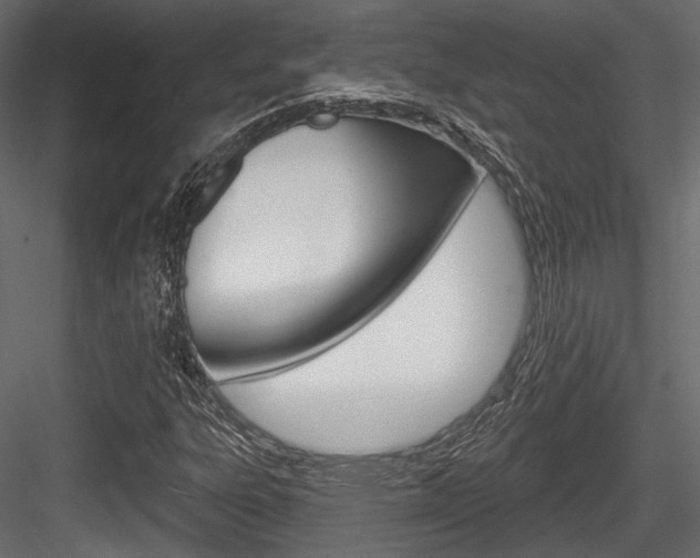 X0000084601303200702231025
