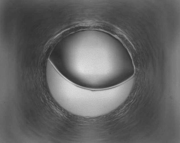 X0000084601304200702231025