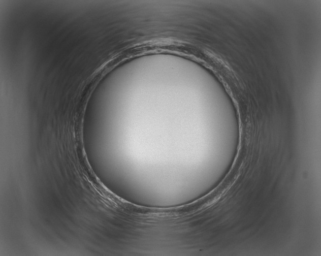 X0000084601305200702231025