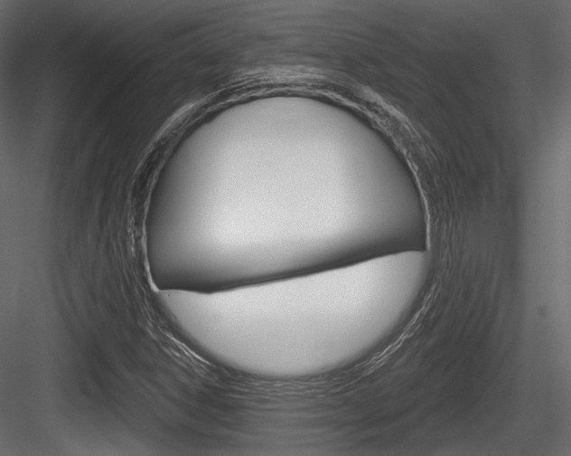 X0000084601306200702231025